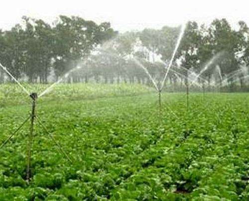 LiangYueLiang pvc uv light sterilizer supply for landscape water