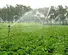 top sterilight uv ultraviolet manufacturers for landscape water